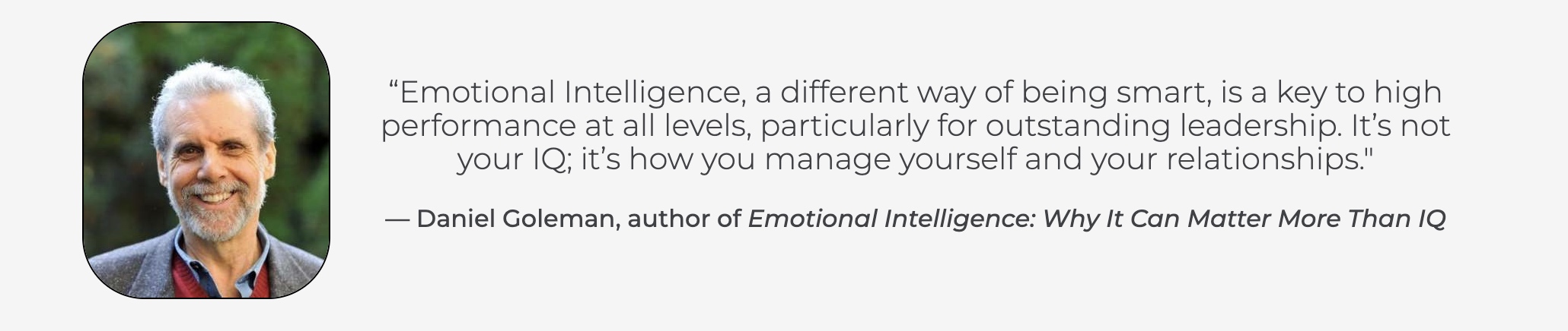 goleman emotional intelligence essay